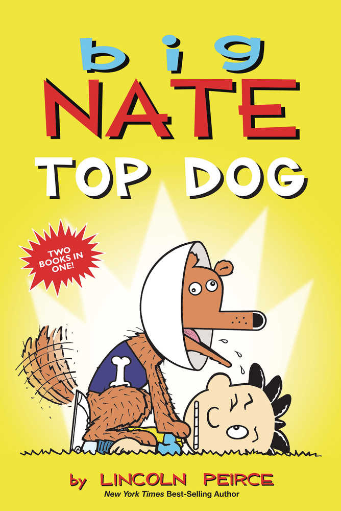 Big Nate Top Dog