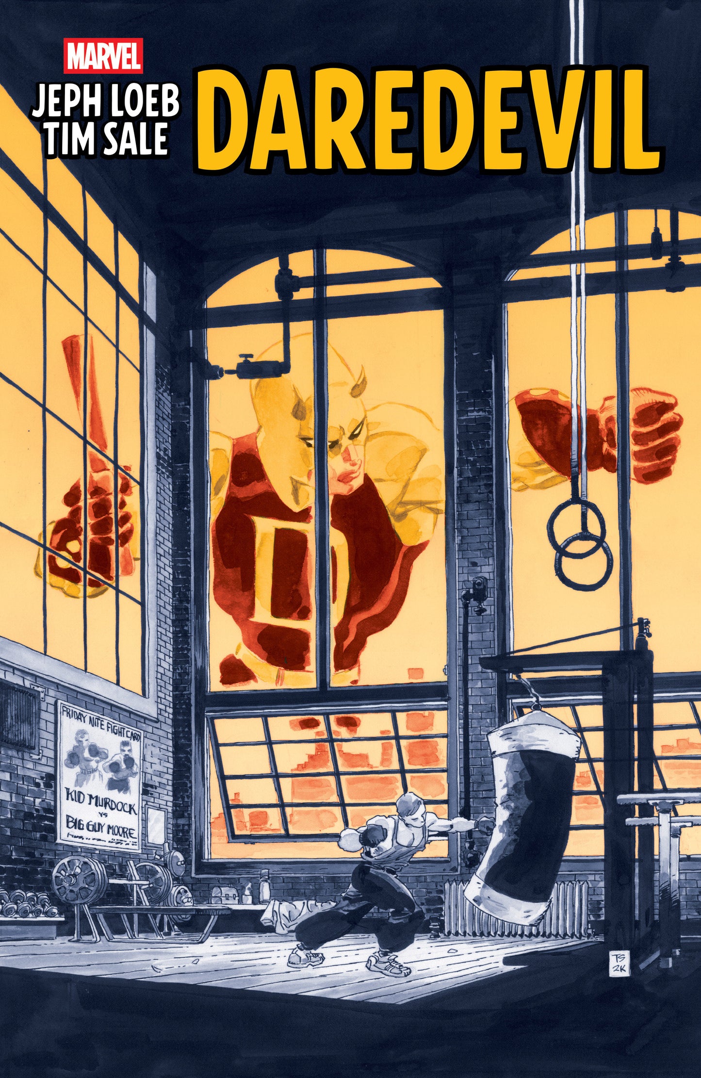 Jeph Loeb & Tim Sale Daredevil