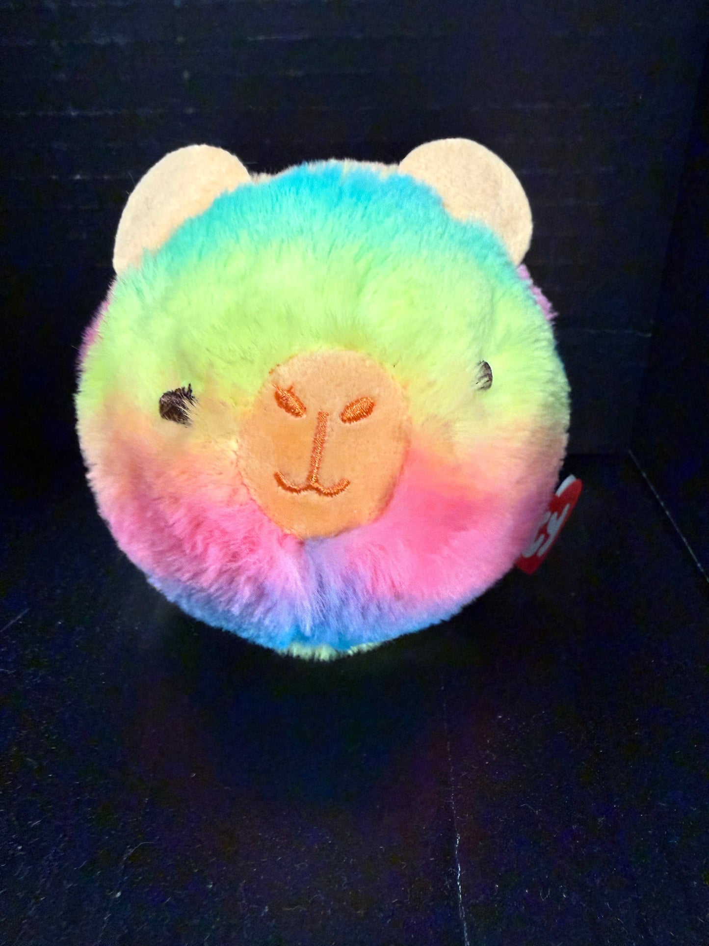 Capybara Beanie Bouncer