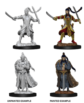 D&D Unpainted Male Elf Paladin (WV9)
