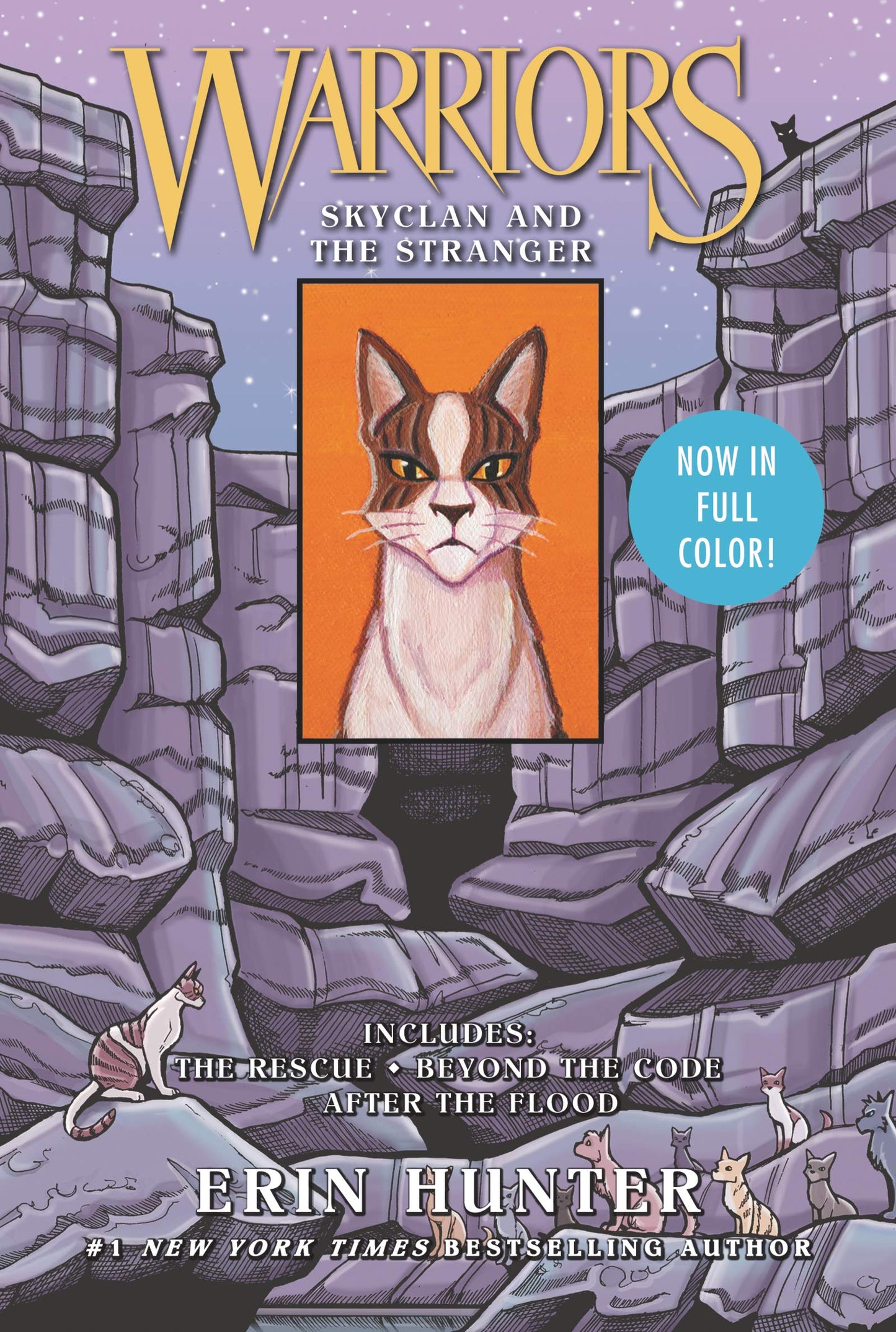 Warriors: Skyclan and the Stranger