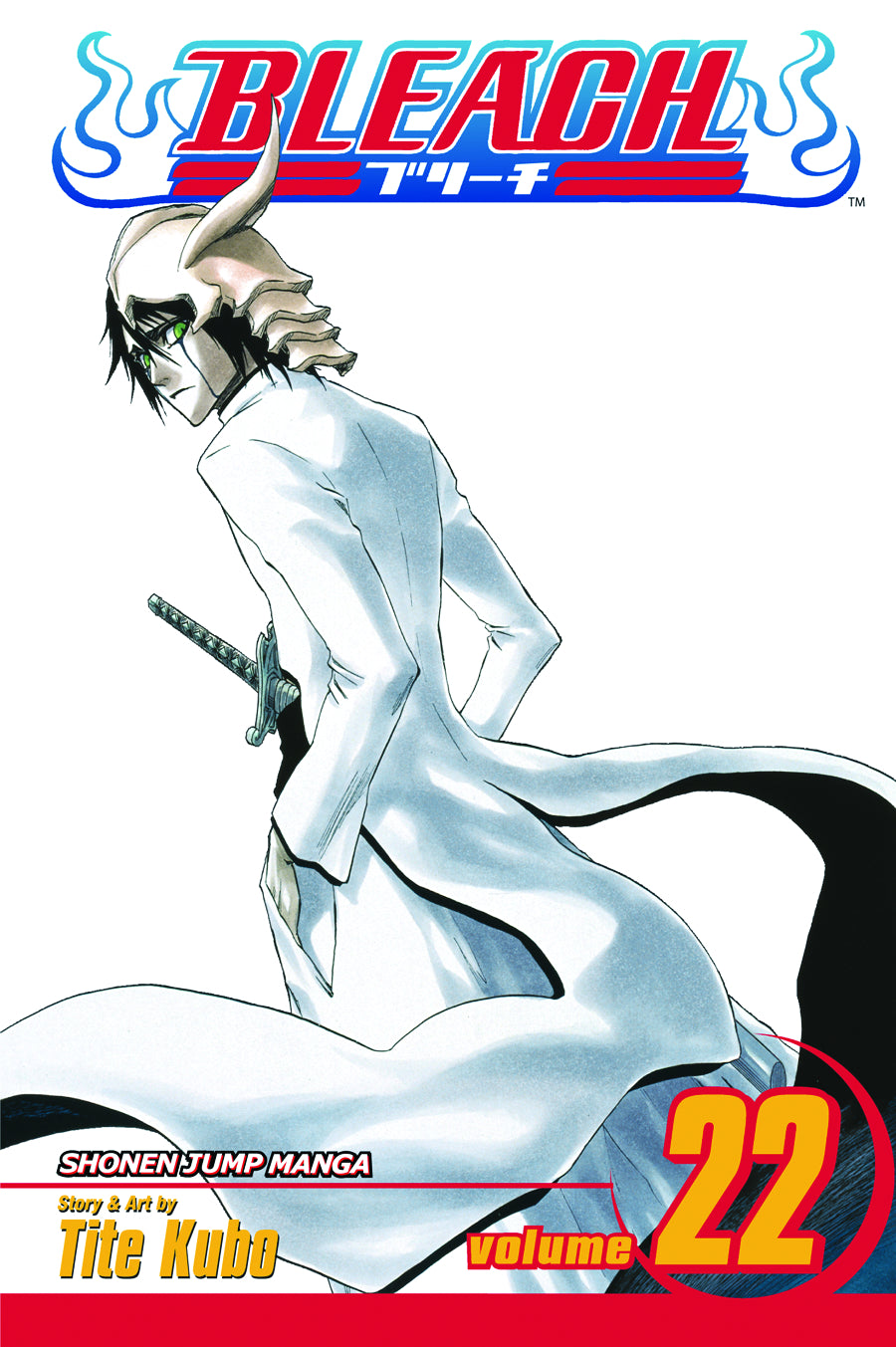 Bleach Vol. 22