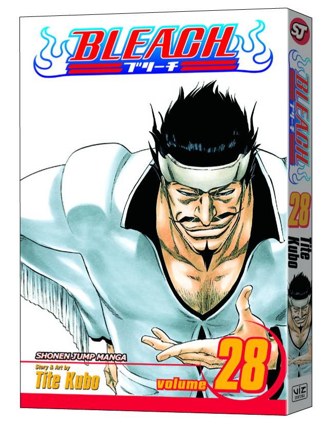 Bleach Vol. 28