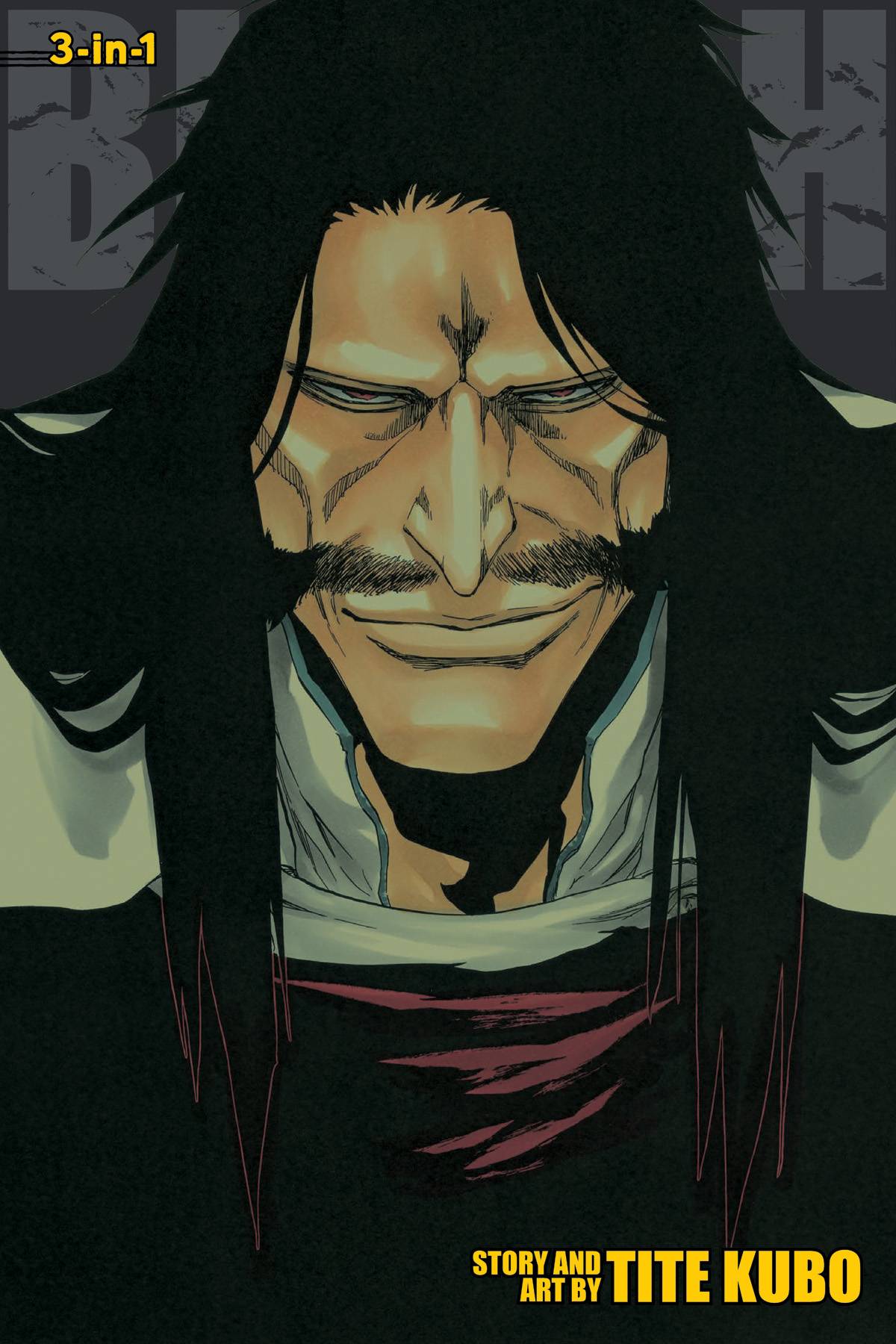 Bleach 3-in-1 Vol. 19