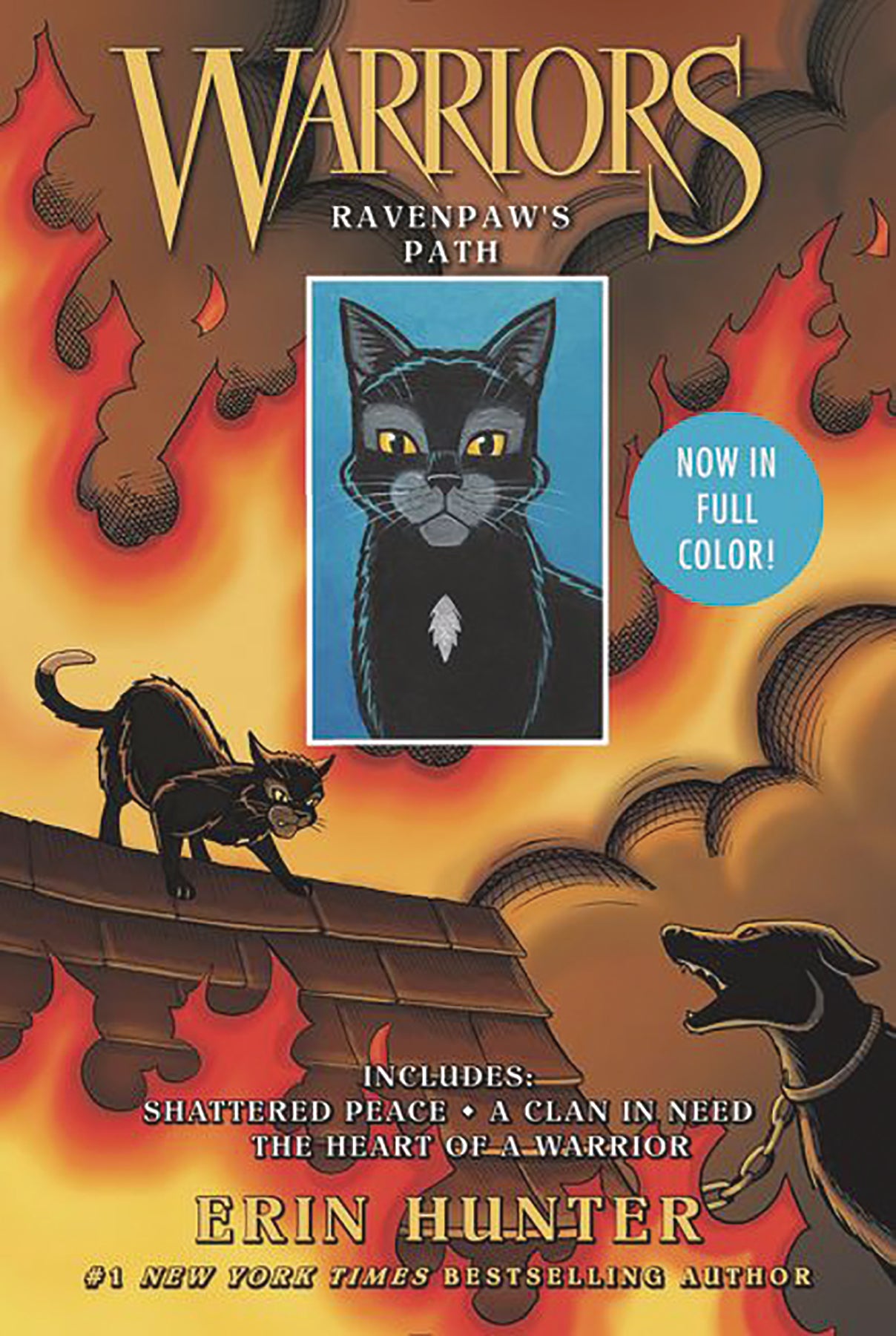 Warriors: Ravenpaw Path