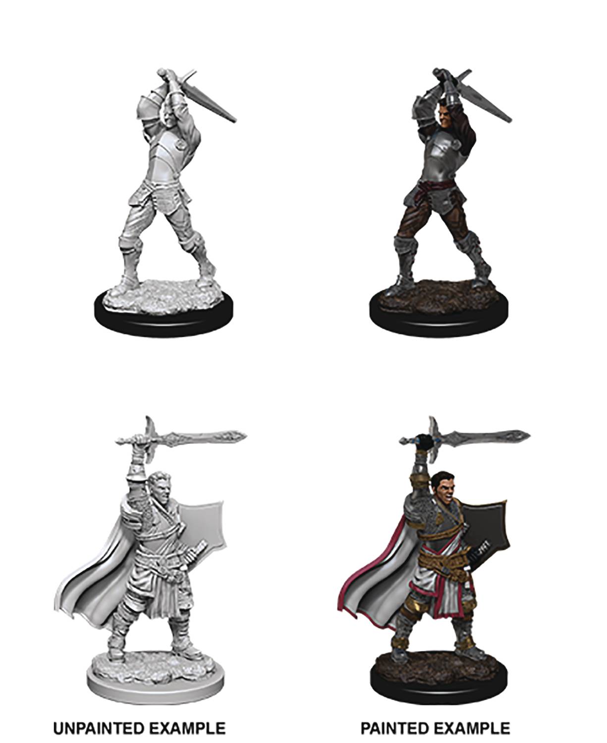 D&D Unpainted Male Human Paladin
