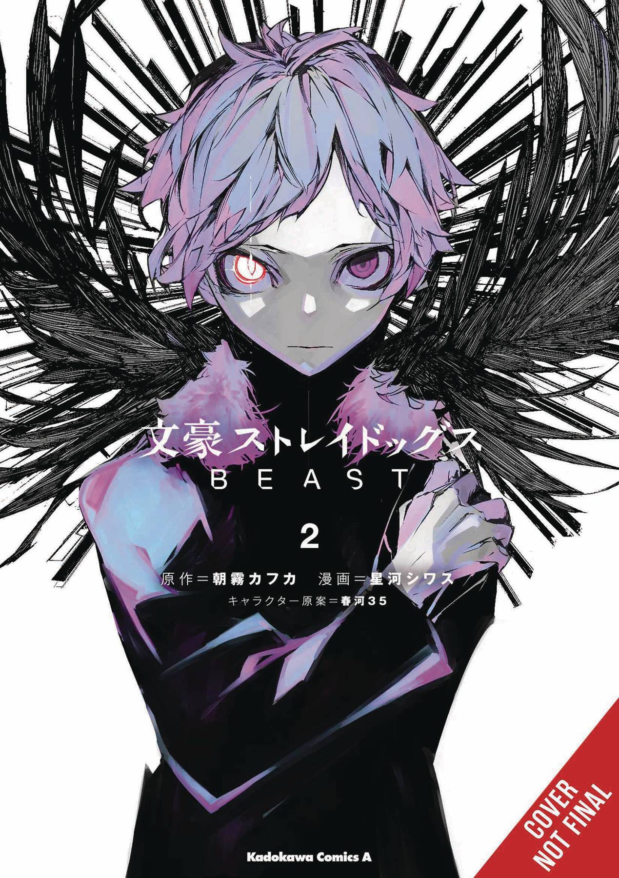 Bungo Stray Dogs Beast Vol. 02