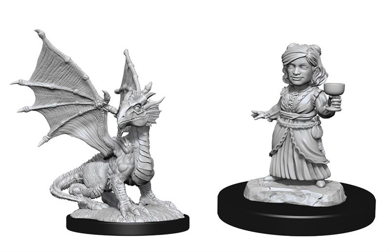 Dungeons & Dragons Nolzars Minis Silver Dragon Wyrmling & Female Halfling