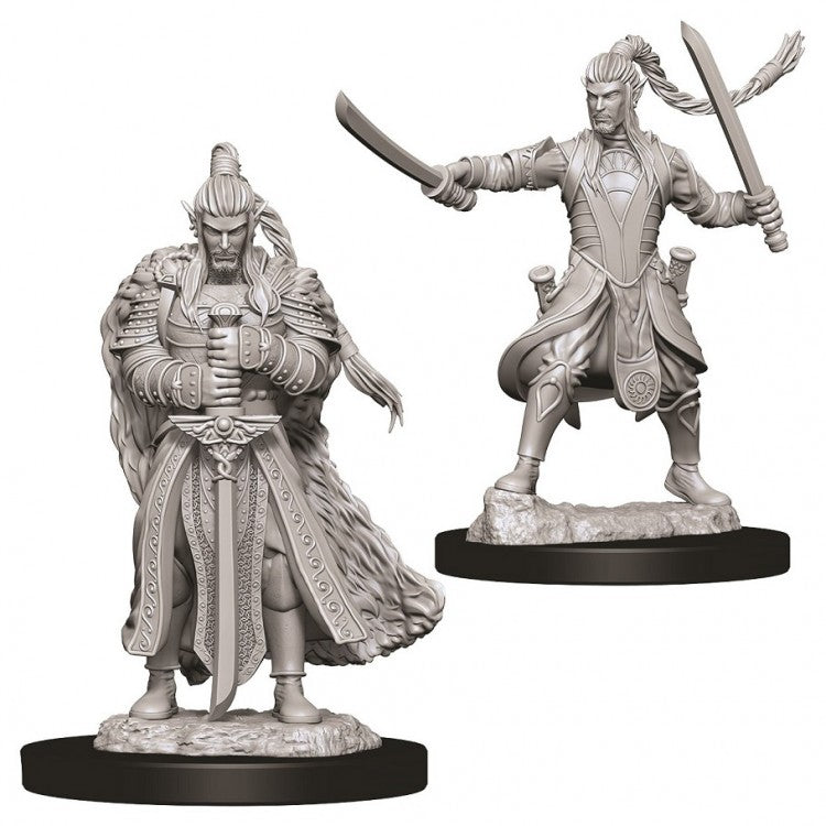 D&D Unpainted Male Elf Paladin (WV9)
