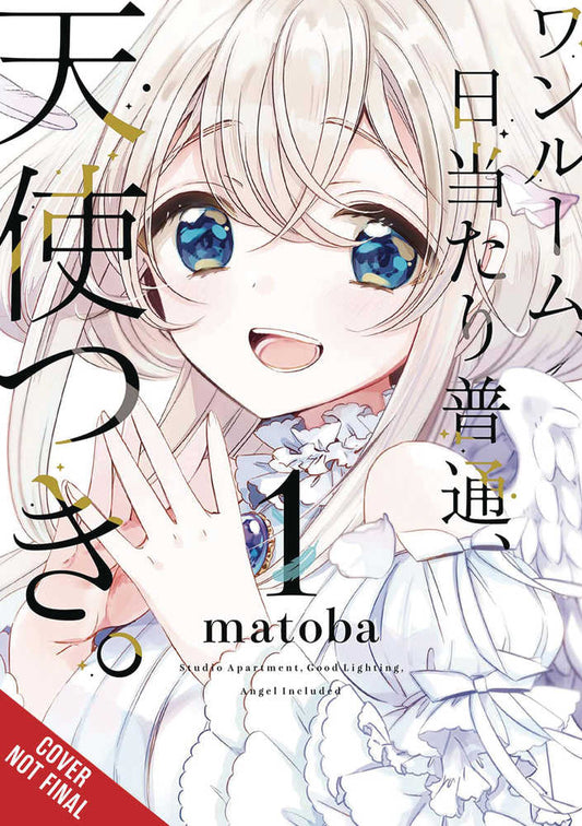 Studio Apartment Good Lighting Angel Included Volume 01