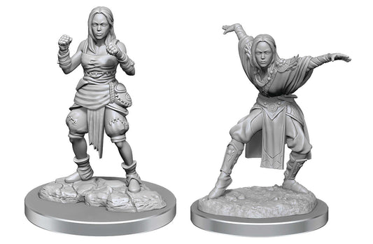 Pathfinder Deep Cuts Half Elf Monk Female