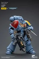 Space Wolves Intercessors (Joytoy)