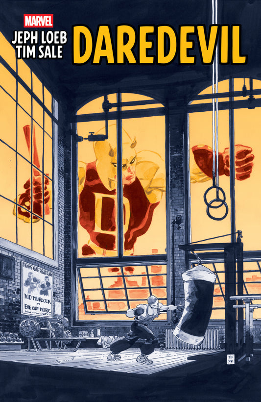 Jeph Loeb & Tim Sale Daredevil