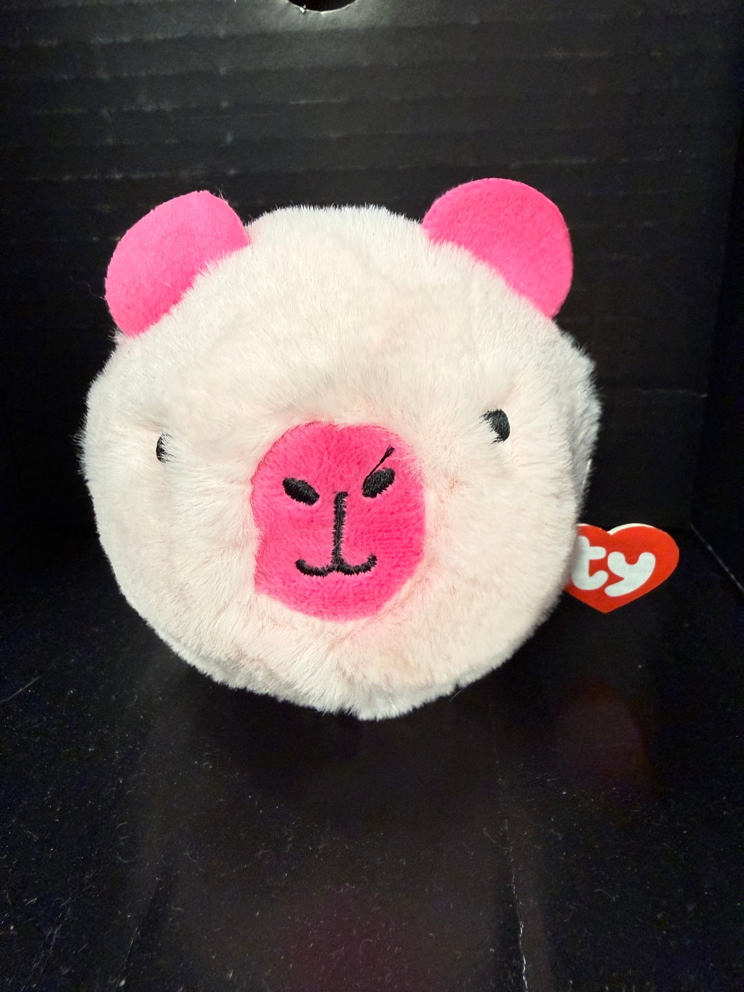 Capybara Beanie Bouncer