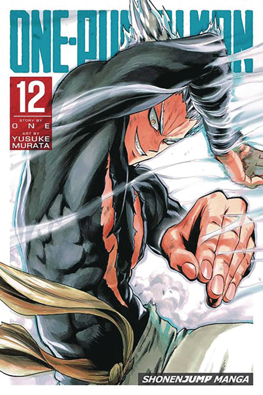 One Punch Man Vol. 12