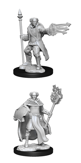 D&D Unpainted Multiclass: Cleric / Wizard