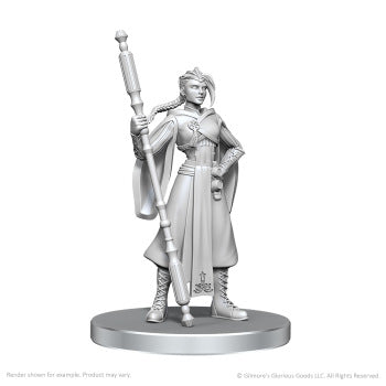 Critical Role Unpainted Beauregard Lionett & Caleb Widogast (WV26)