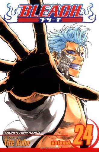 Bleach Vol. 24