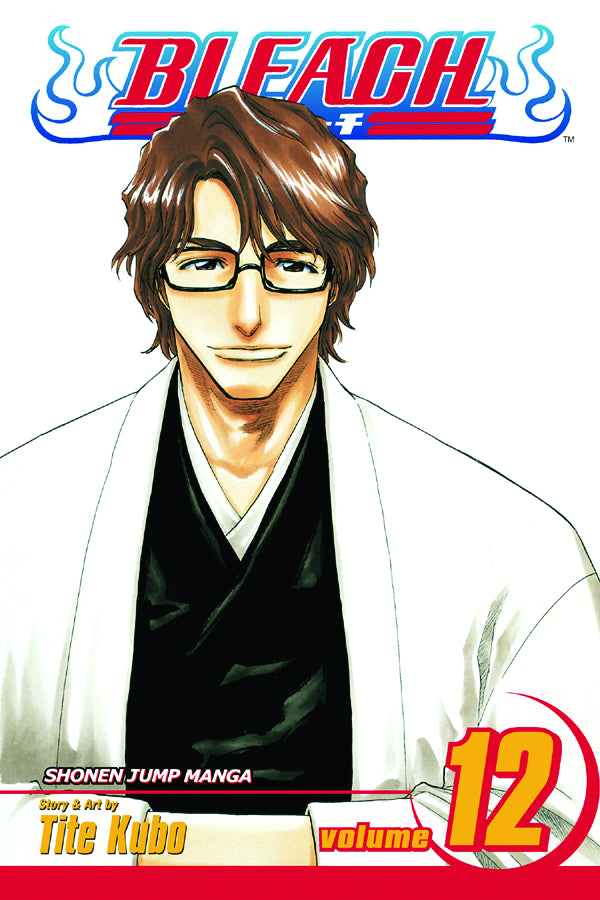 Bleach Vol. 12