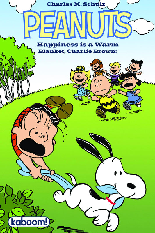 Peanuts Happiness is a Warm Blanket Charlie Brown