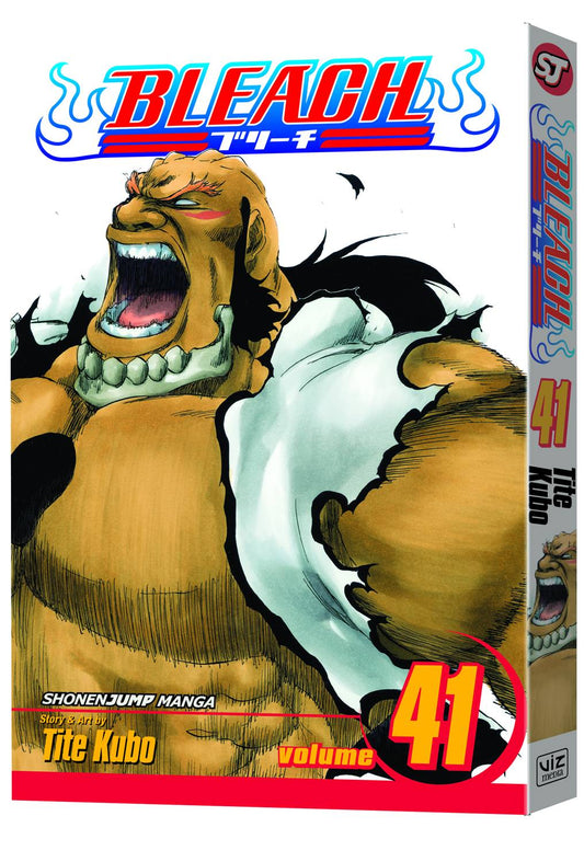 Bleach Vol. 41