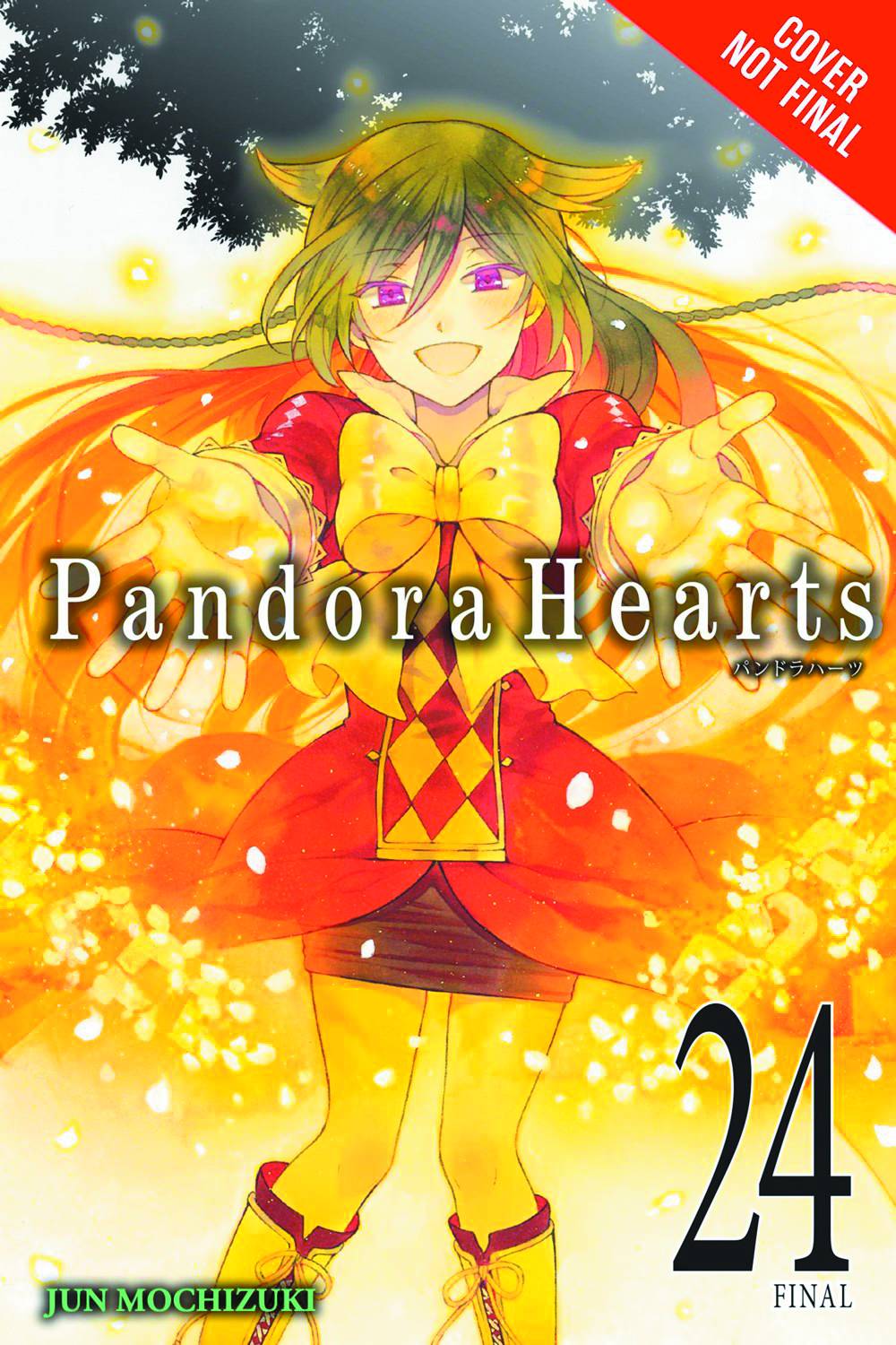 Pandora Hearts Vol. 24