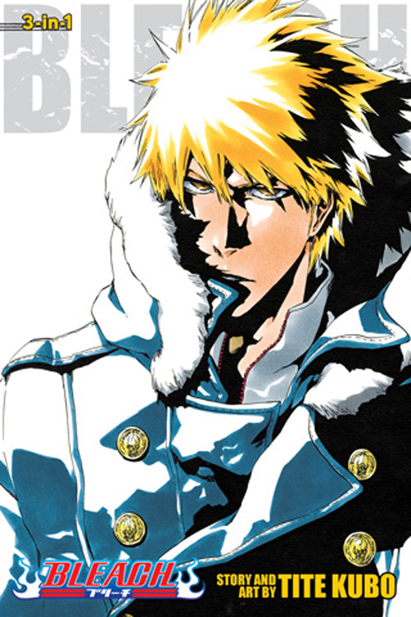 Bleach 3-in-1 Vol. 17