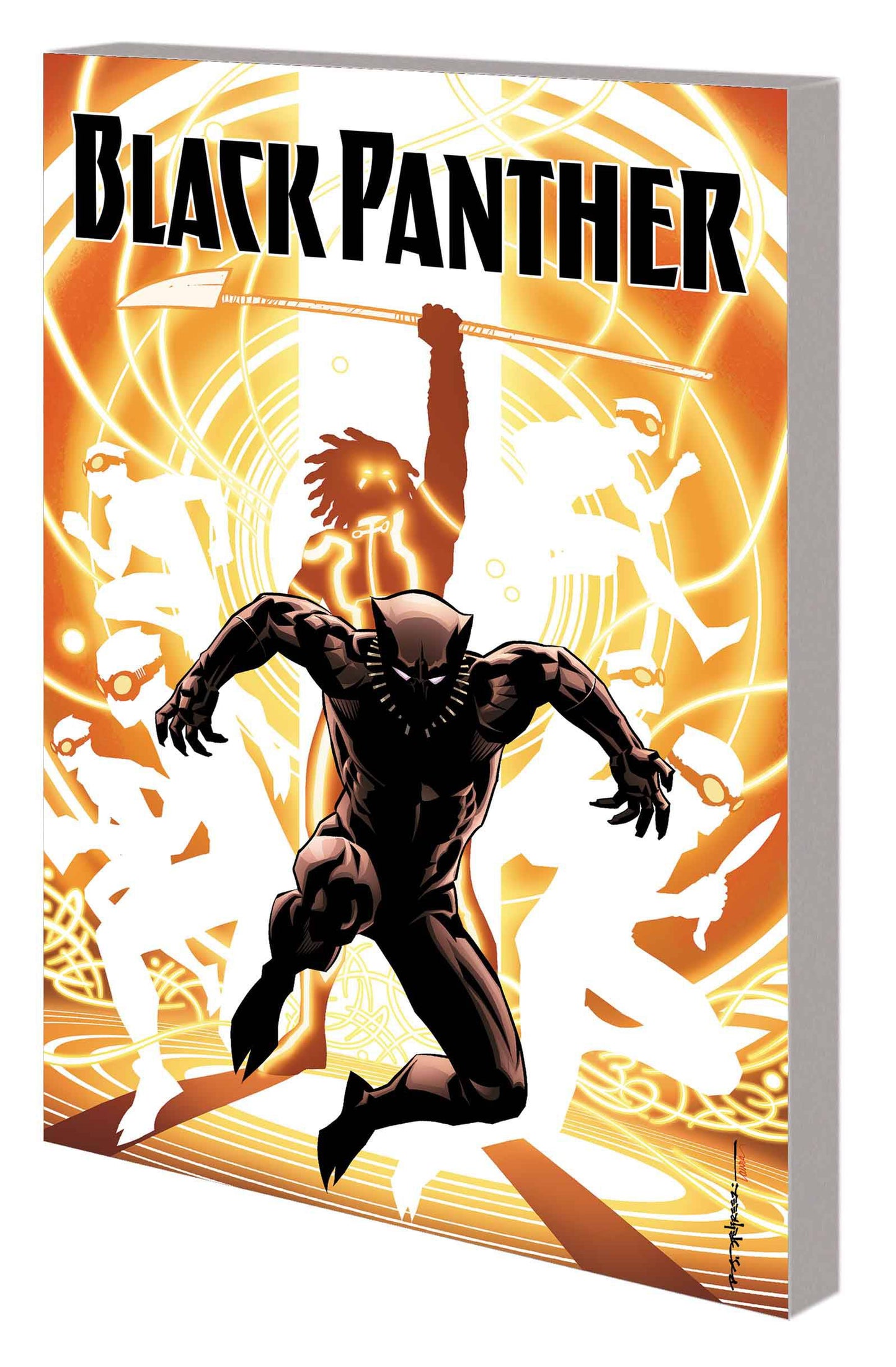 Black Panther Book 2 Nation Under Our Feet