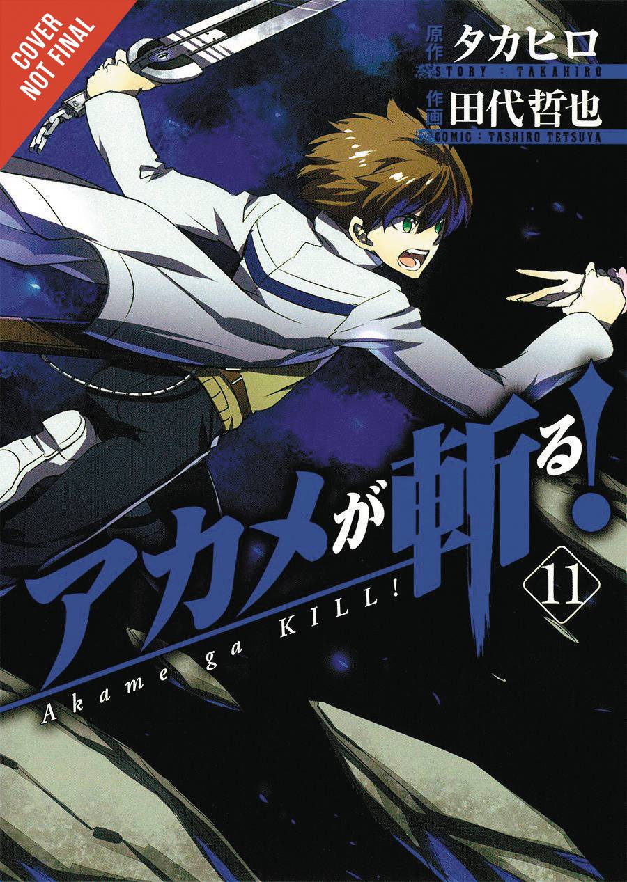 Akame Ga Kill Vol. 11