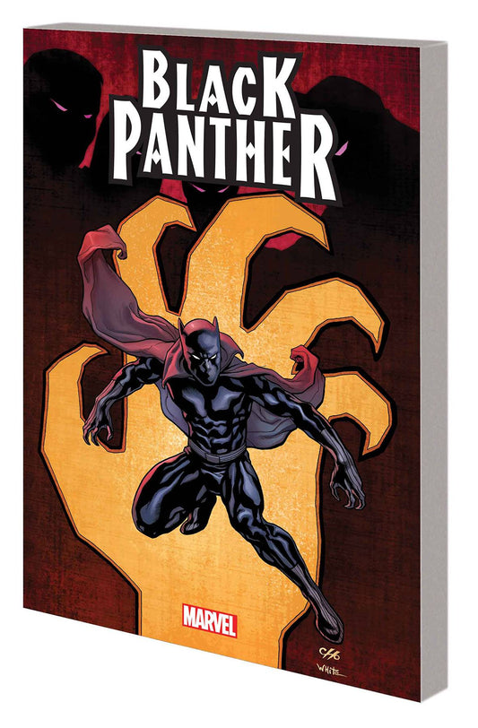 Black Panther By Hudlin Vol. 01 Complete Collection