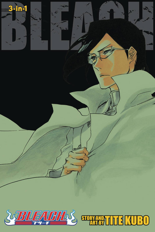 Bleach 3-in-1 Vol. 24