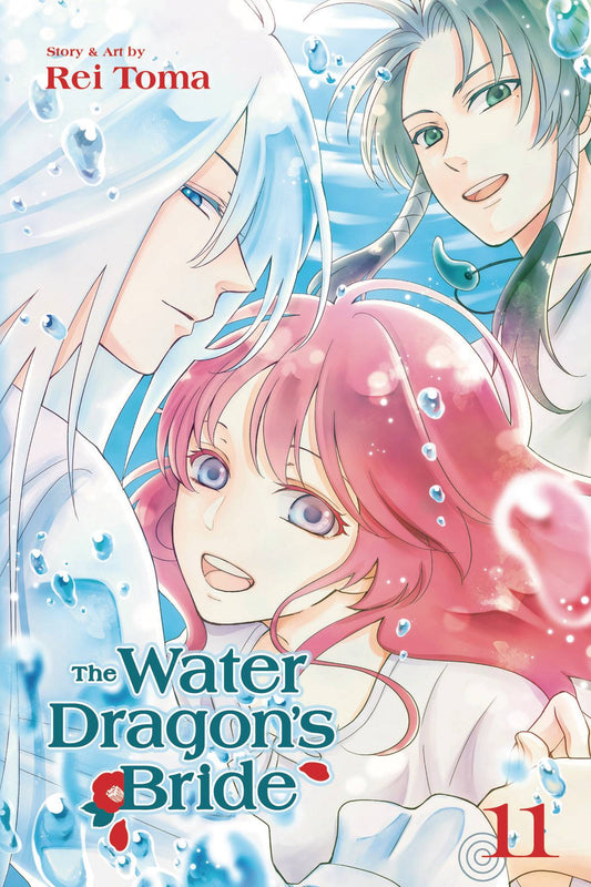 Water Dragon Bride Vol. 11