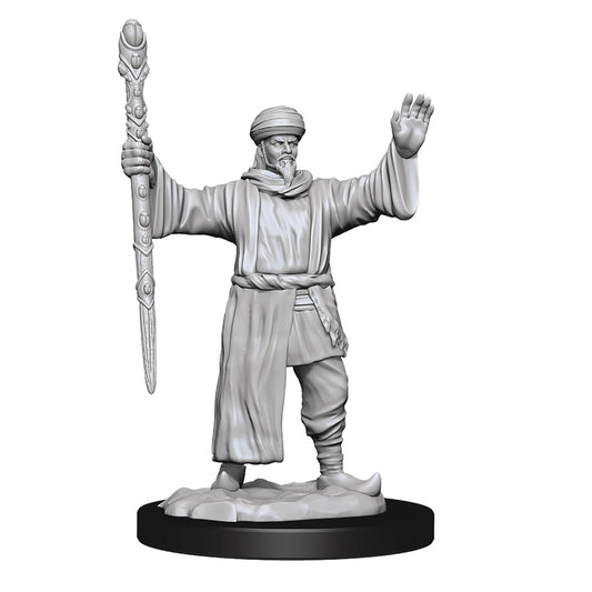 D&D Unpainted Human Wizard Male