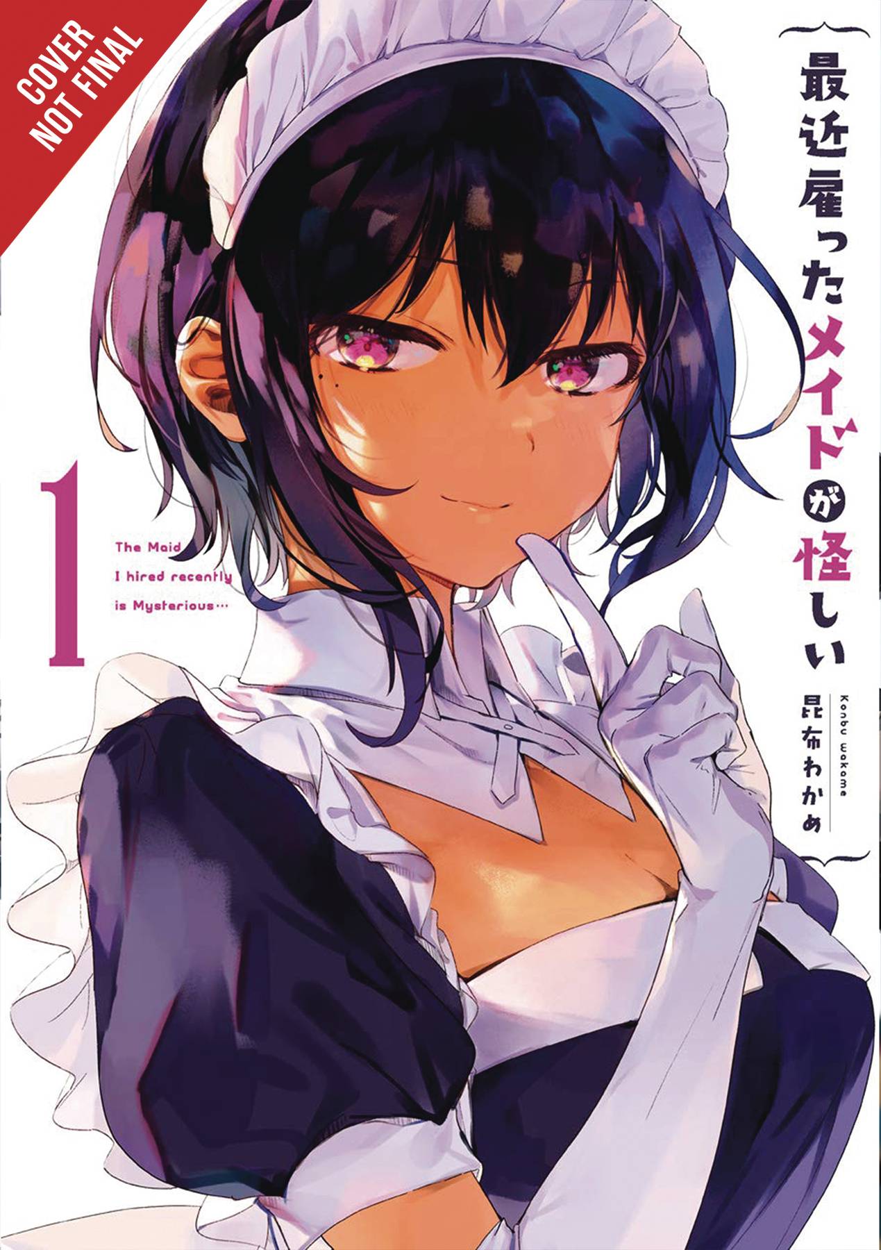 Maid I Hired Recently Vol. 01