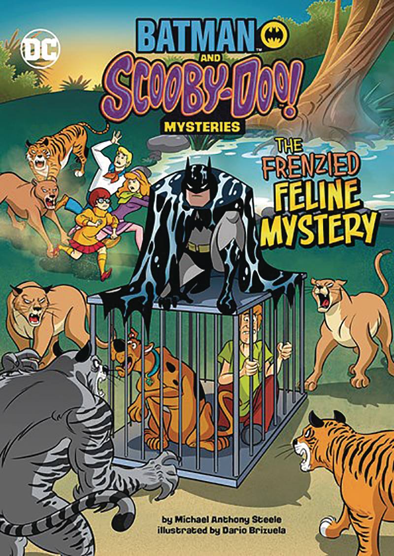 Batman and Scooby Doo Mysteries The Frenzied Feline Mystery