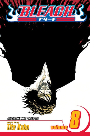 Bleach Vol. 08