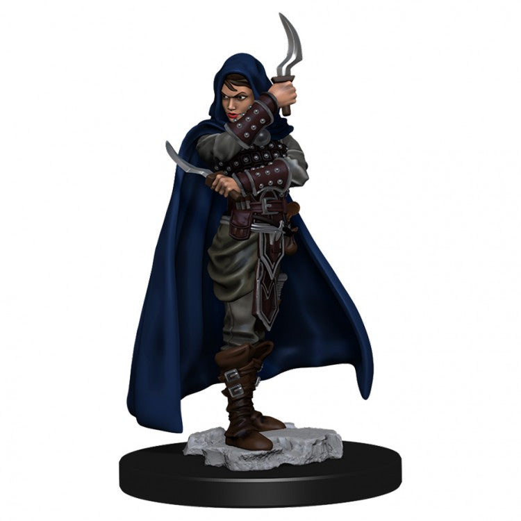 Pathfinder Battles: Premium Painted Figure - W1 Human Rogue Female